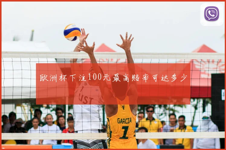 欧洲杯下注100元最高赔率可达多少
