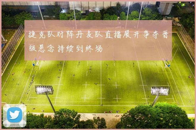 捷克队对阵丹麦队直播展开争夺晋级悬念持续到终场