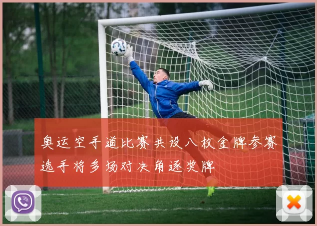 奥运空手道比赛共设八枚金牌参赛选手将多场对决角逐奖牌
