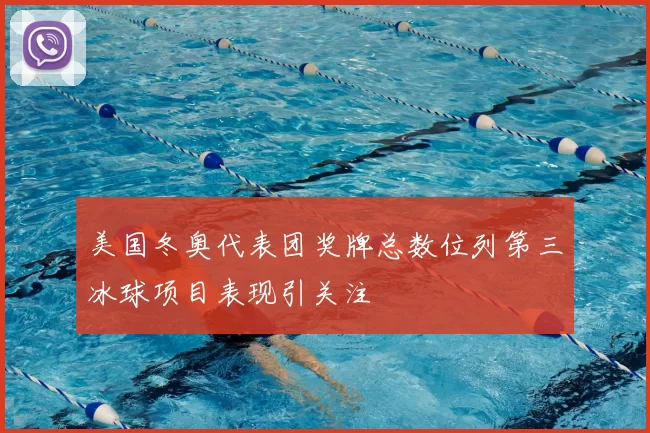 美国冬奥代表团奖牌总数位列第三冰球项目表现引关注